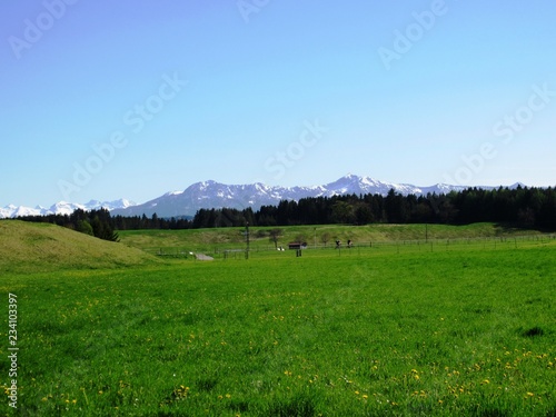 View of Bavarian Landscape and Alpes in the backround