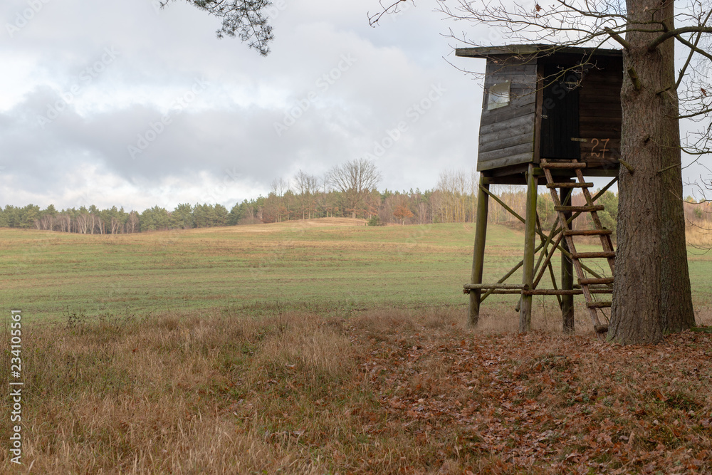 Wooden construction set at the edge of the forest. A new hunting pulpit for wild game hunters. Wooden construction set at the edge of the forest. A new hunting pulpit for wild game hunters.