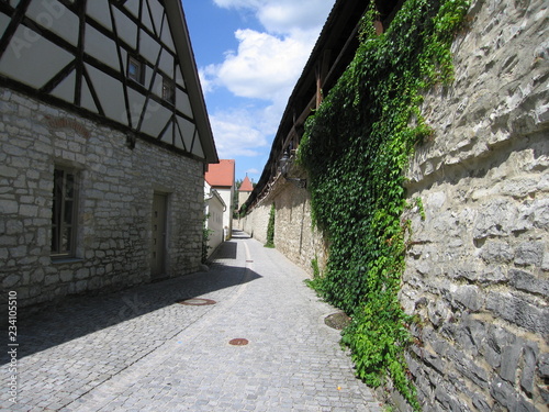 Stadtmauer in Berching mit Wehrgang und Efau