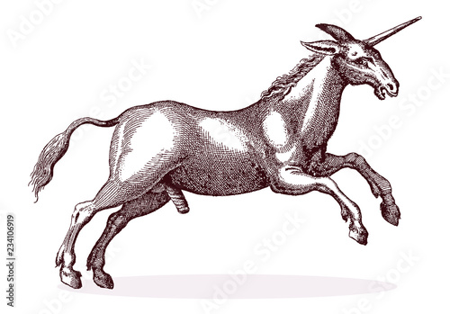 Jumping horse-like unicorn standing on hind feet, after antique engraving from 17th century