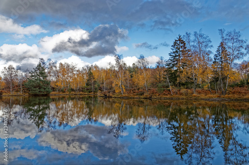 étang de Haute-Saône en automne