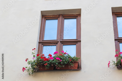 window and flowerbox. window with flowers. one window