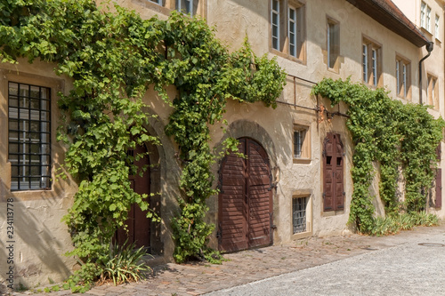 Weikersheim, Germany – gate and door surrounded by vines.
