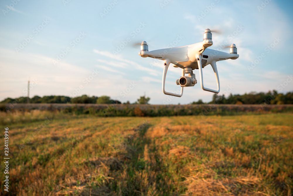 drone quad copter on green corn field drone quad copter on green corn field