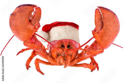 Funny lobster for Christmas, isolated on white background.