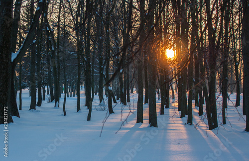 The setting sun in a snowy park.
