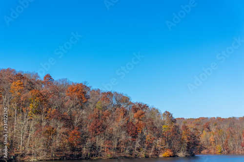 trees with autumn foliage on the lake