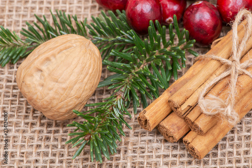 Winter holiday decoration: fraser fir twig, cinnamon sticks, walnut and cranberries on burlap background