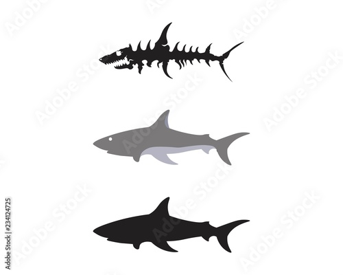 Shark Logo Template and design vector fish wild sea animal