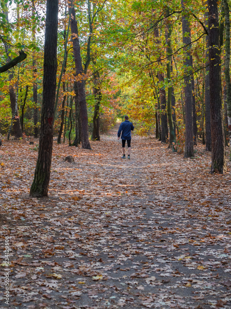 running man in blue jacket on forest road in autumn