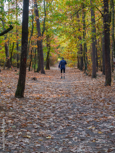 running man in blue jacket on forest road in autumn