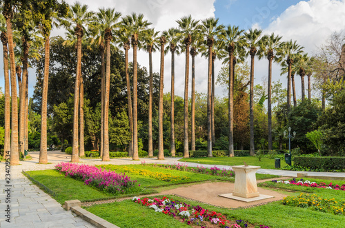 Palm trees in the Athens National Garden in the city centre. Greece photo