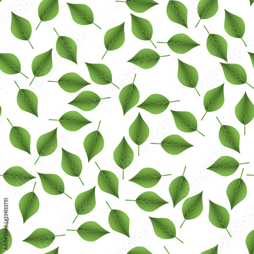 Green leaves.