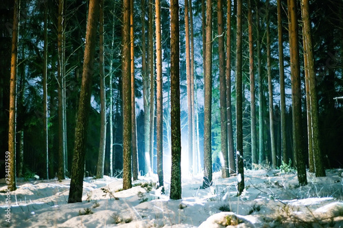 Man with a lantern in the night forest in winter