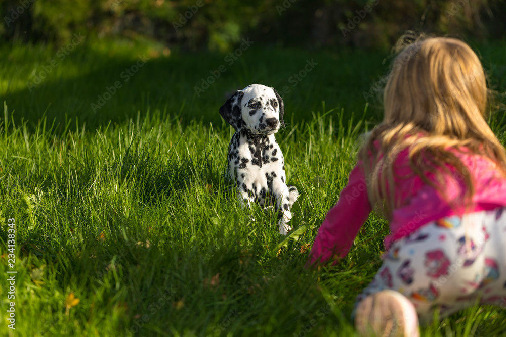 Fototapeta premium A Childs best friend