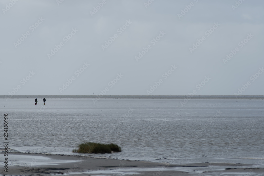 people in a wide minimalistic wadden sea landscape