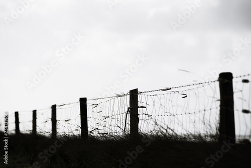 blurred fence on a dike