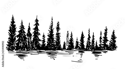 Hand drawn sketch of pine forest. Vector background.