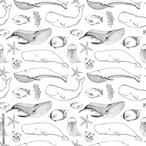 Seamless pattern with whales, orcs and other fishes.