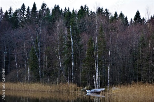 Beautiful scenery at the lake in the Nuuksio Nationalpark photo