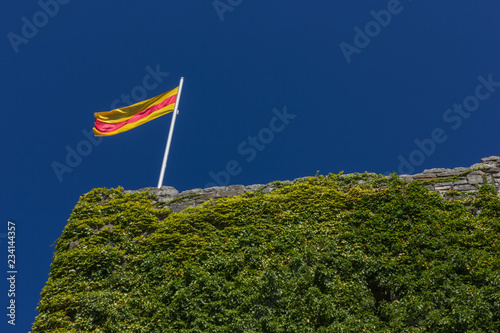 Flagge von Baden