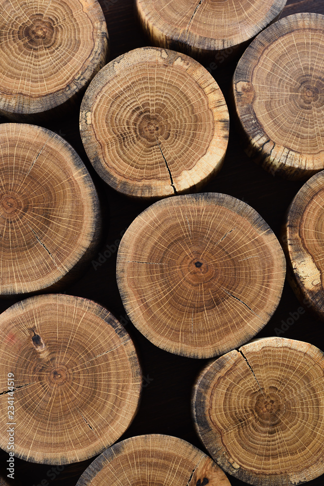 Tree trunk slices with annual rings and cracks on black background texture Tree trunk slices with annual rings and cracks on black background texture