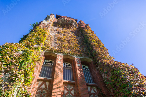 Looking up at the ivy covered tower at the San Jose State University; San Jose, California photo