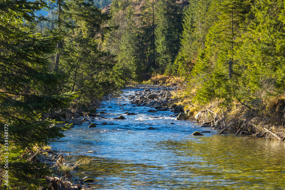 Chocholowski stream, Tatry, Poland Chocholowski stream, Tatry, Poland