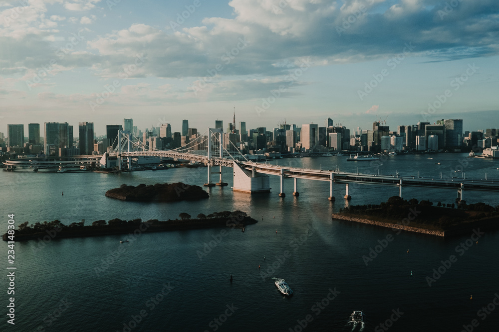 .Beautiful aerial view of Tokyo Bay from the Odaiba district. Travel Photography.