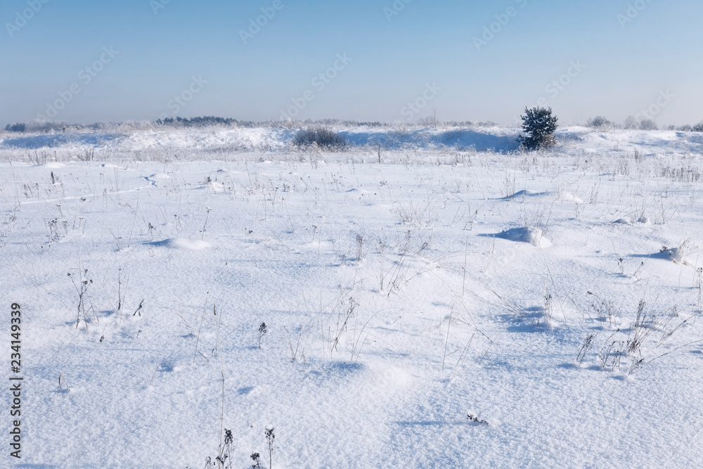 Obraz premium Winter field under blue sky