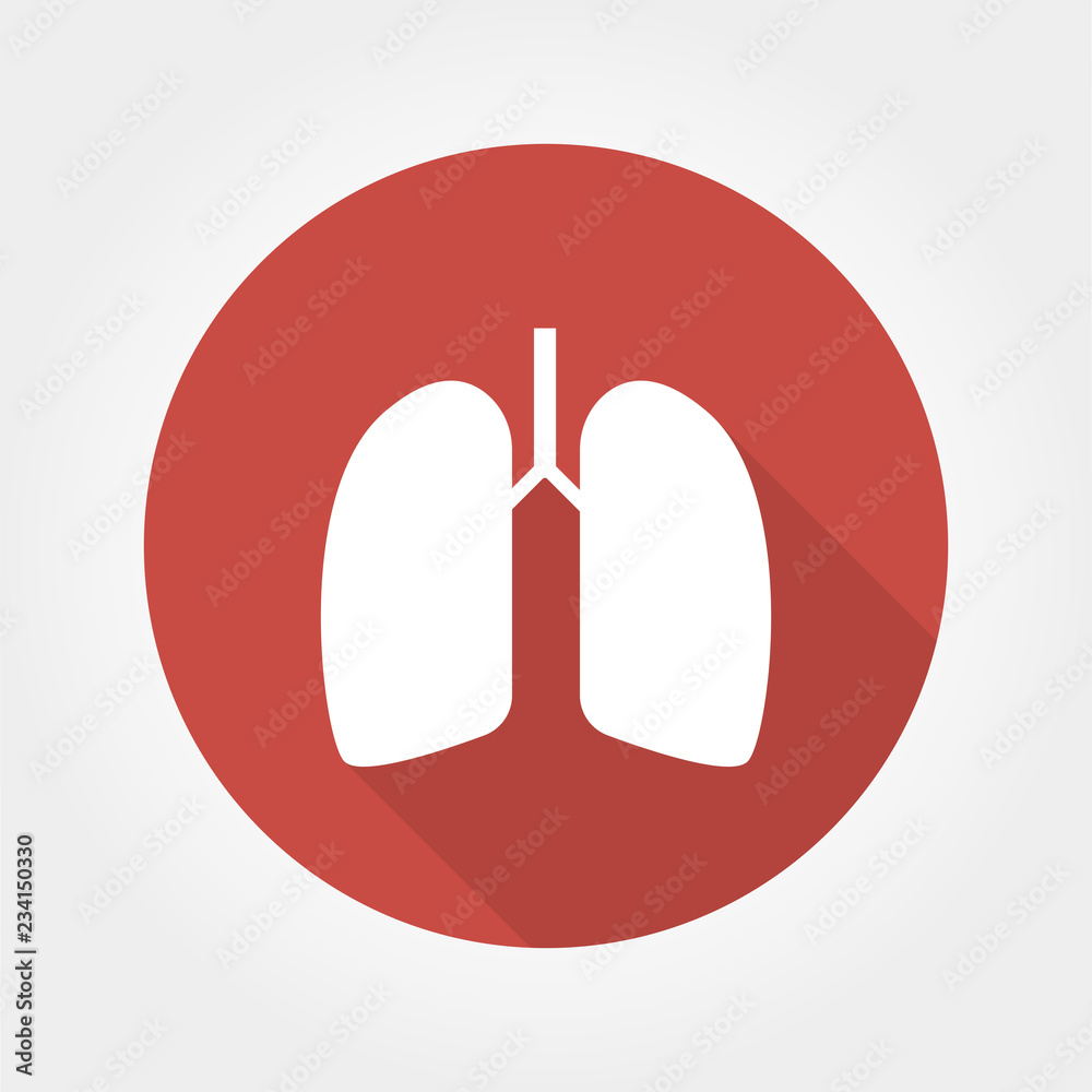 lungs vector icon lungs vector icon