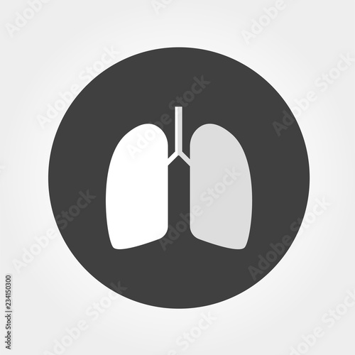 lungs vector icon
