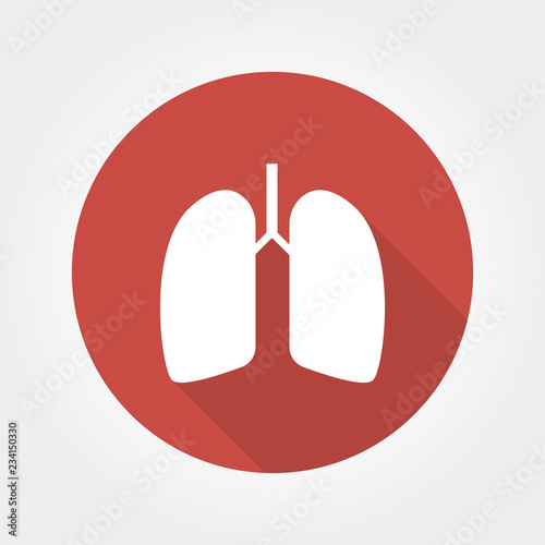 lungs vector icon
