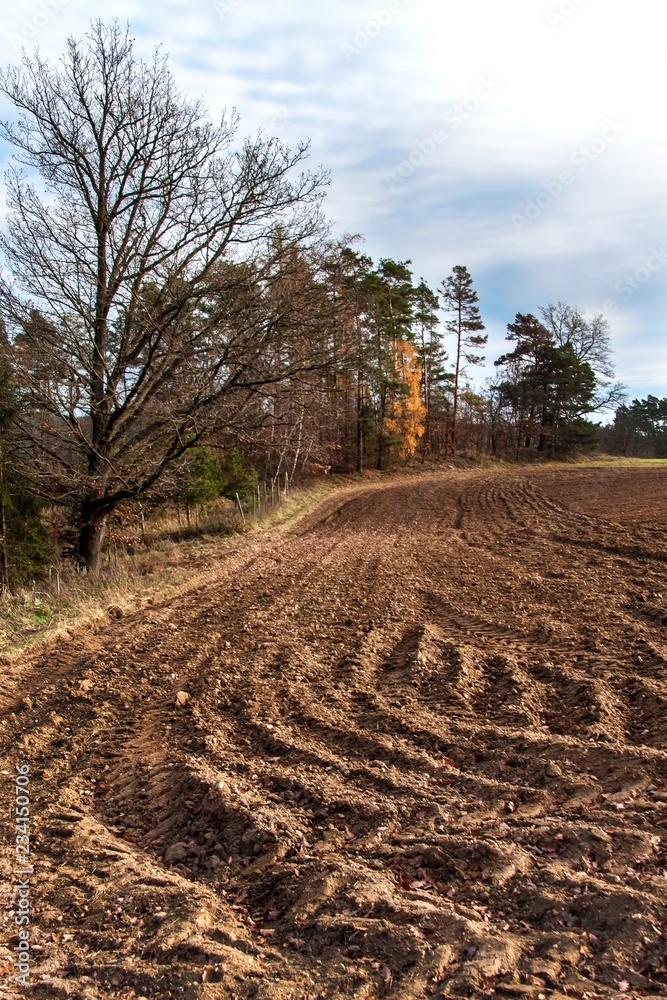 Plowed field. Life on the farm. Agricultural industry. Landscape in the Czech Republic. Autumn in the fields. Plowed field. Life on the farm. Agricultural industry. Landscape in the Czech Republic. Autumn in the fields.