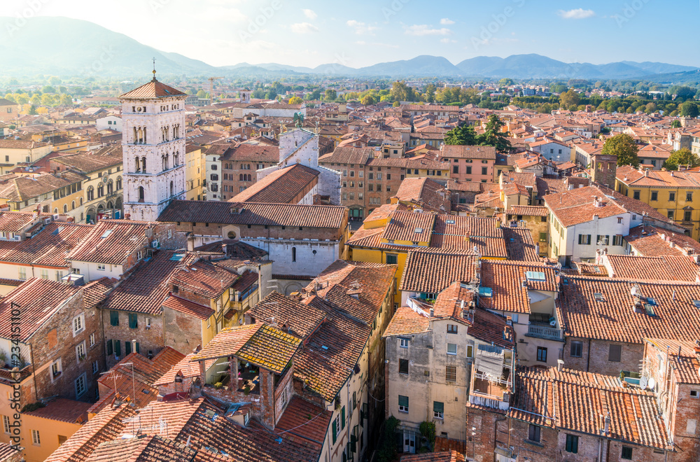 Panoramic view in Lucca with San Michele al Foro Church. Tuscany, Italy.