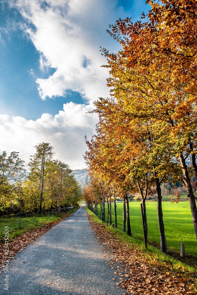 Fototapeta premium Autunno a Busca, Cuneo