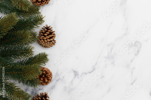 Christmas fir tree branches on a marble background