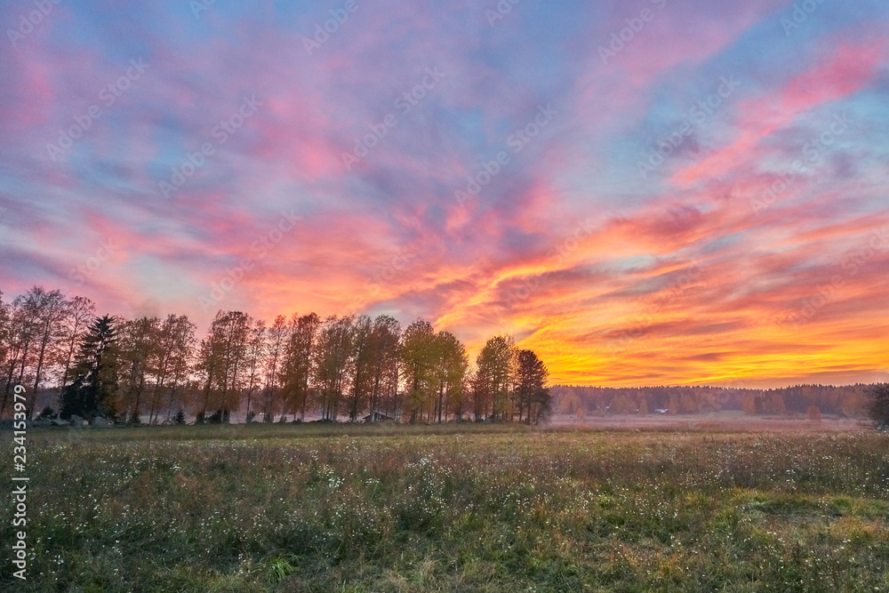 Sunset on the Backyard