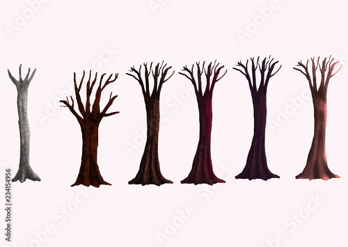 Assortment of tree trunks