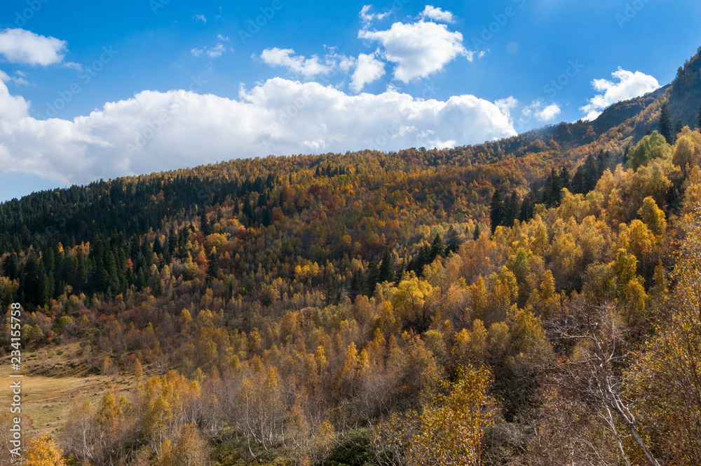 Russia, Arkhyz. Atsgara river valley in autumn in Sunny day