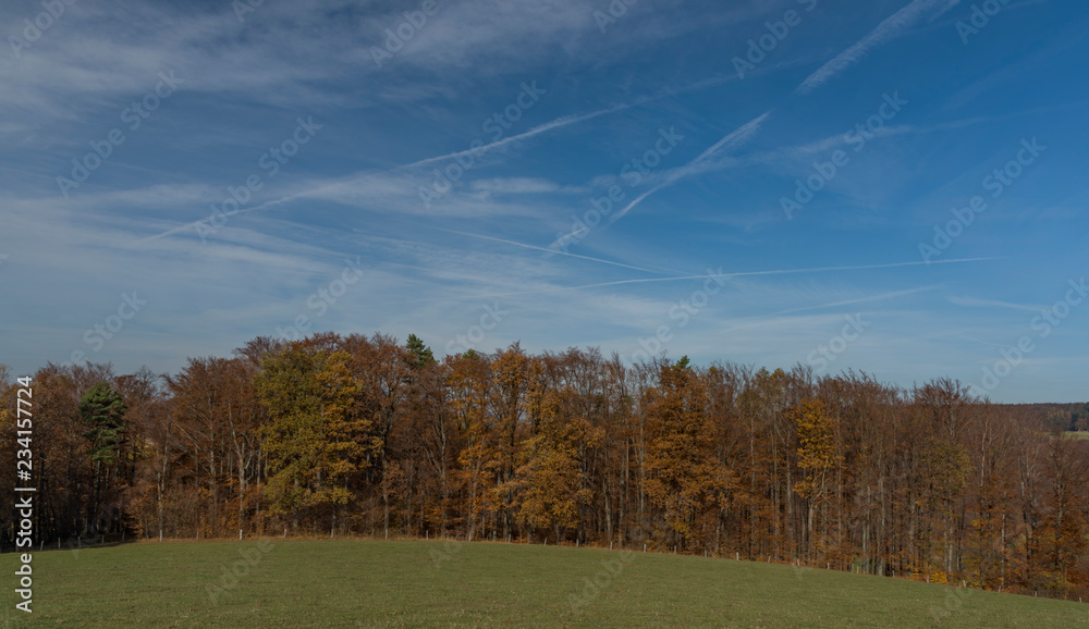 Meadows and forest over Pitin town in Moravia region