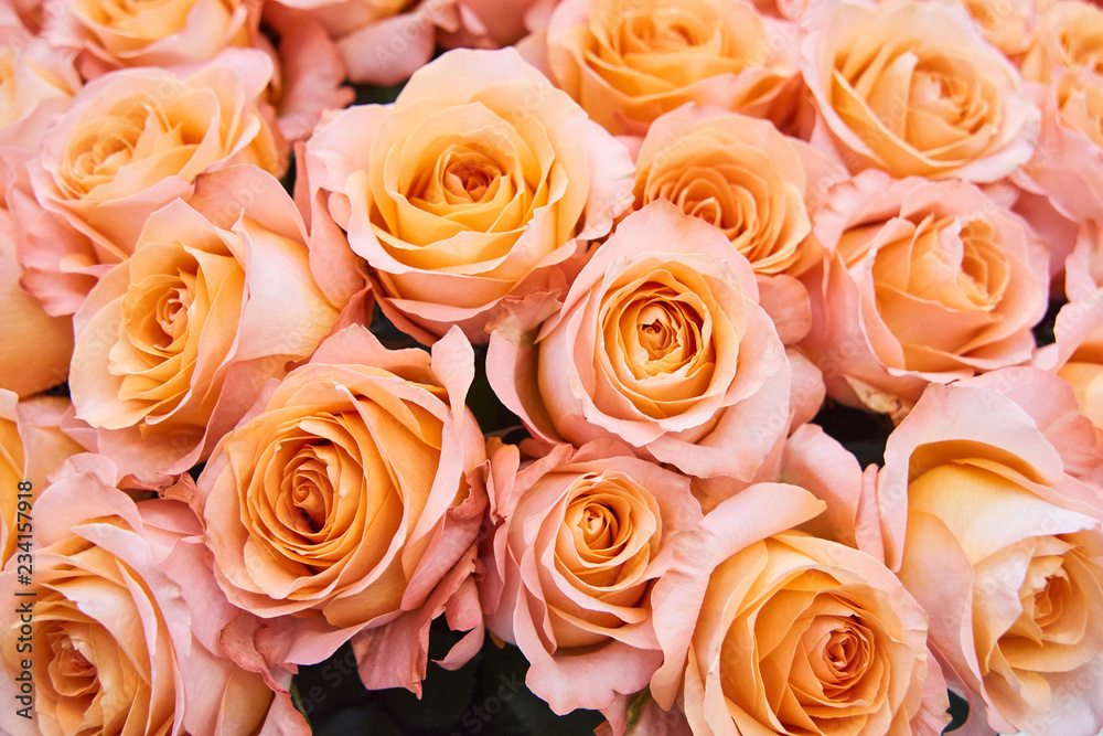 Fresh cut yellow and light pink roses and arrangements in florist shop, tracking shot Fresh cut yellow and light pink roses and arrangements in florist shop, tracking shot
