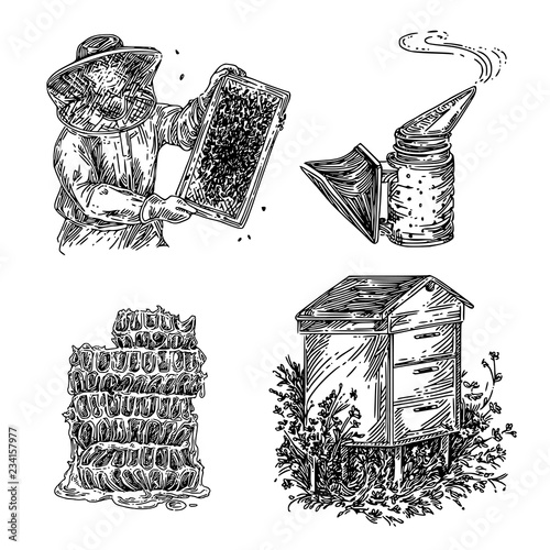 Set of honey. Beekeper, smoker, honeycomb and wooden hive. Sketch. Engraving style. Vector illustration.