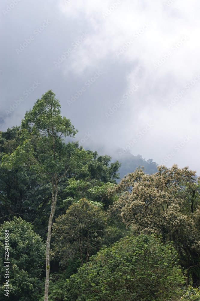 Obraz premium Impressionen Bali