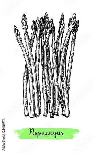 Ink sketch of asparagus.