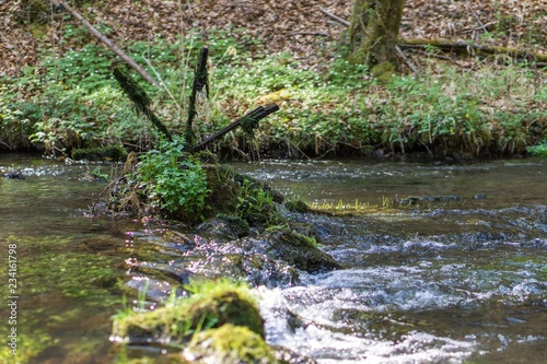 Spinning mossy water wheel