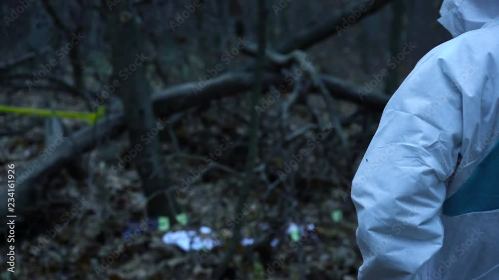 Forensic expert in protective gear working at crime scene in forest, murder site. Crime scene investigation in progress Forensic expert in protective gear working at crime scene in forest, murder site. Crime scene investigation in progress