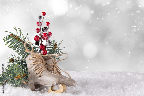 Christmas decoration ice sk...
