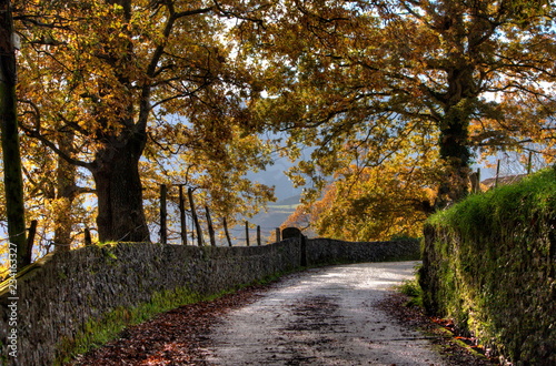 Camino otoñal