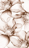 Close-up of Flower Petals, Flower watercolor, Flower wallpaper, Petal, Flower watercolor illustration. flower petals in soft color.